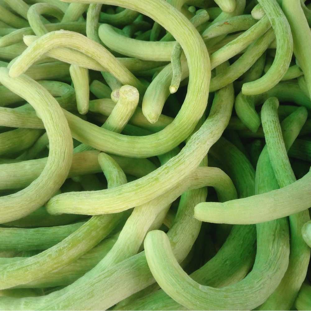 Kakri Long Melon Selection Seeds