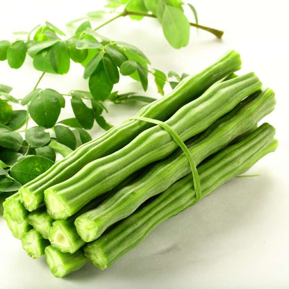 Moringa Drumstick Seeds (Saijan)