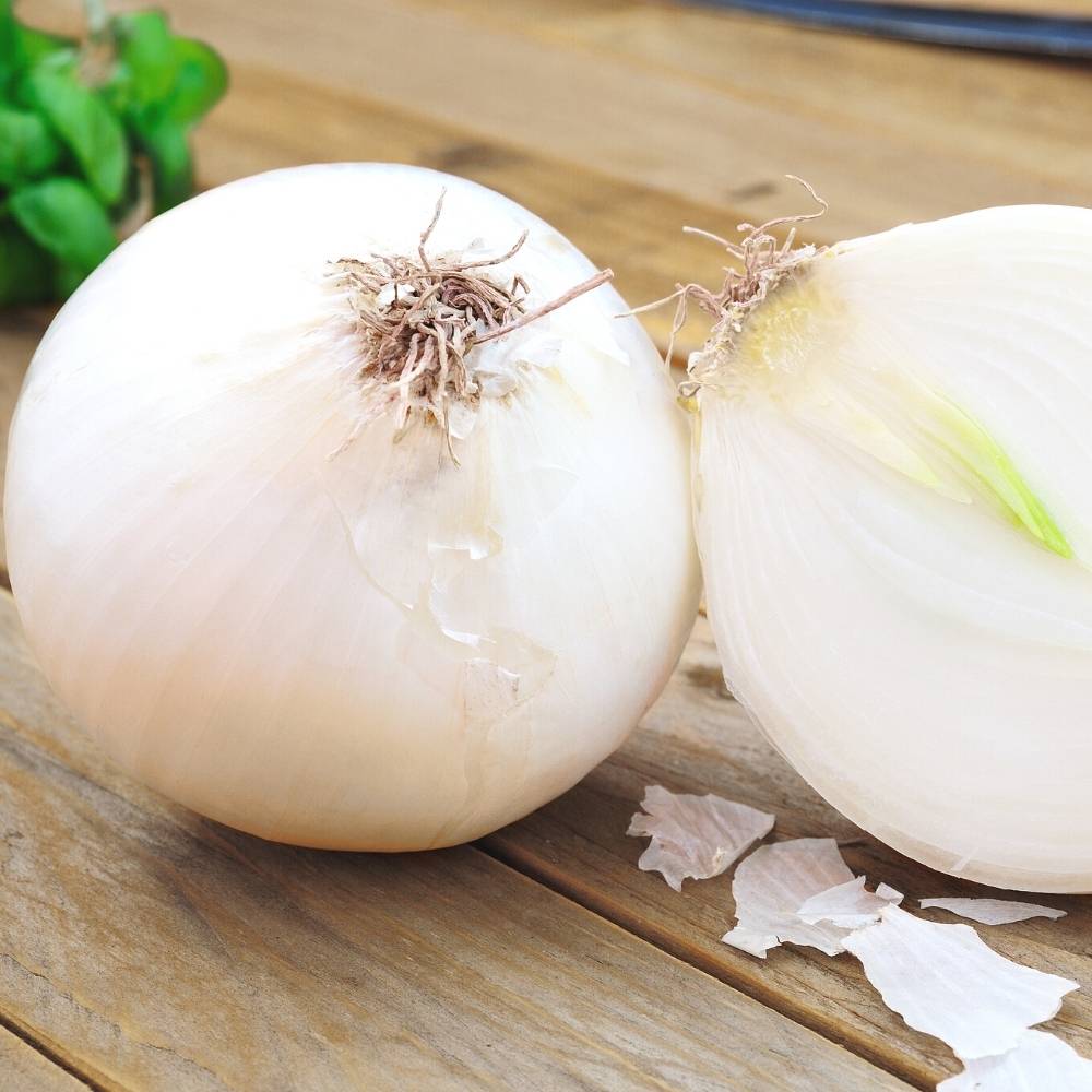 Onion White Globe Seeds