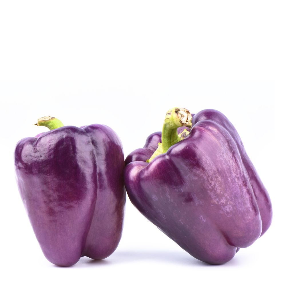 Purple Capsicum Seed F1 Hybrid