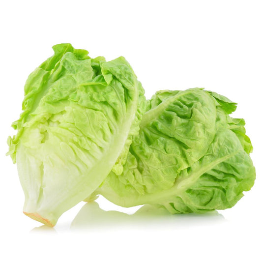 Romaine Lettuce Seeds