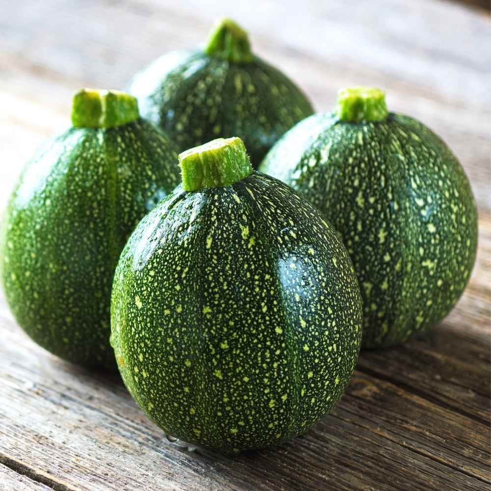 Summer Squash (Chappan Kaddu) Hybrid Dark Green