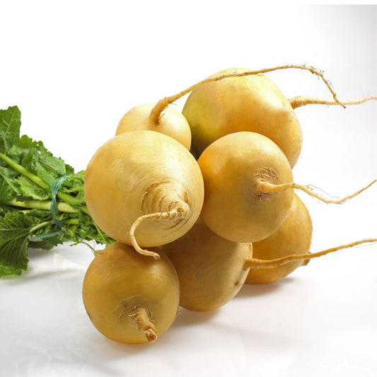 Turnip Imp Golden Yellow Seeds