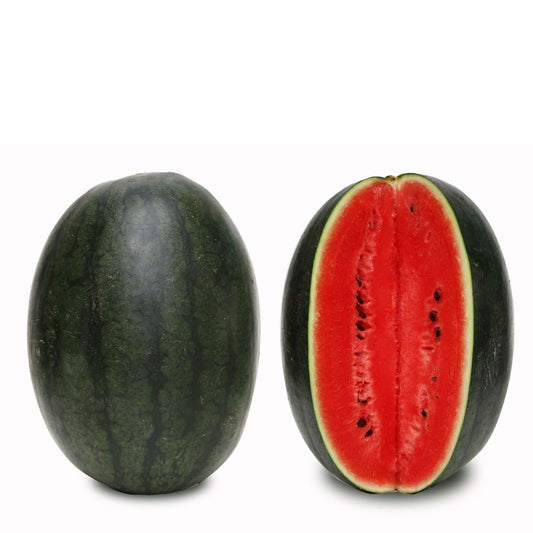 Watermelon Oval Dark Green Hybrid Seeds