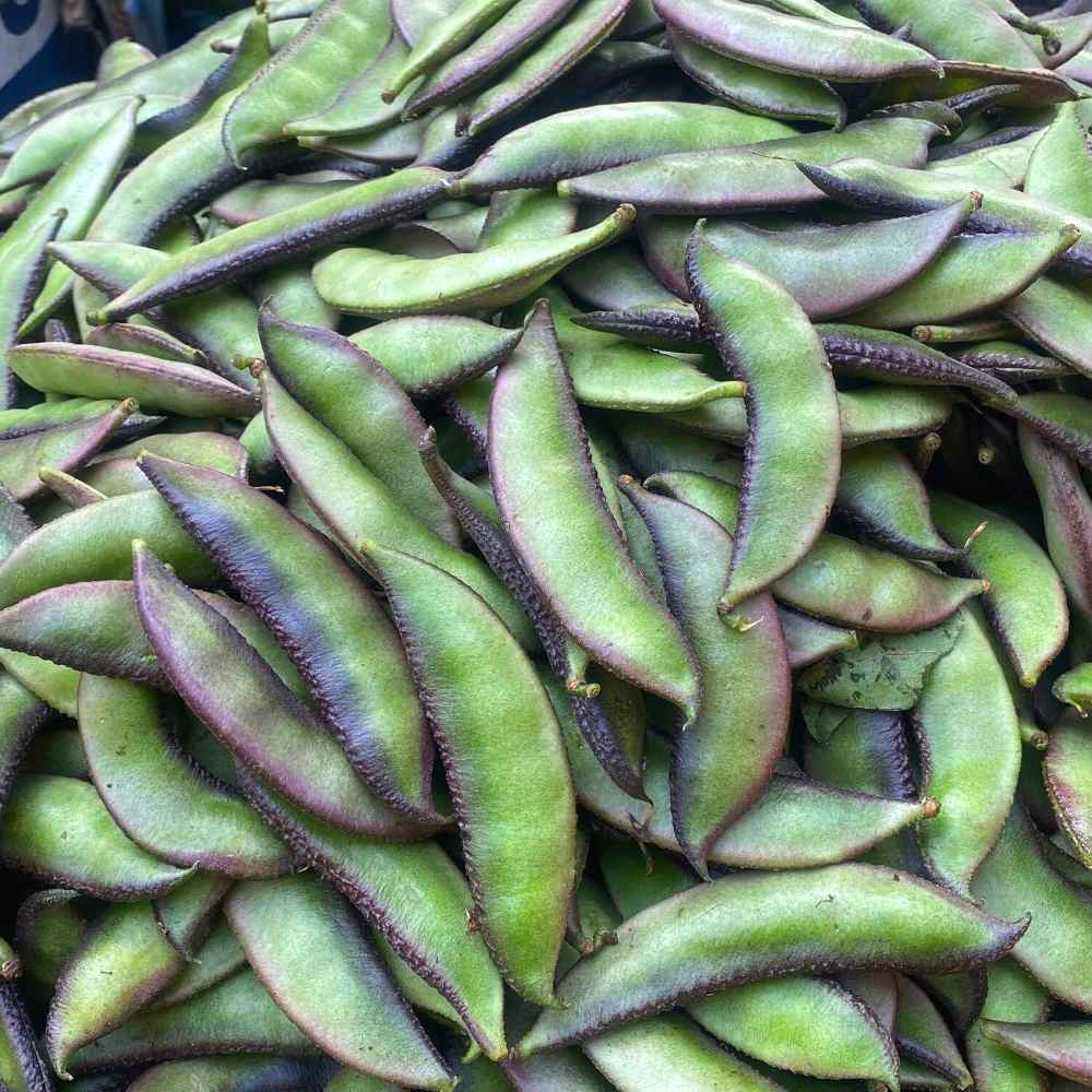 Sem Phali/Lima Beans Seeds Bush Type