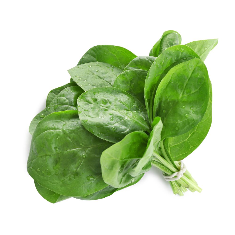 Baby Spinach (Chhoti Palak) Imported Seeds