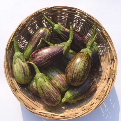 Brinjal (Light Purple Green Variegated) F1 Hybrid Seeds