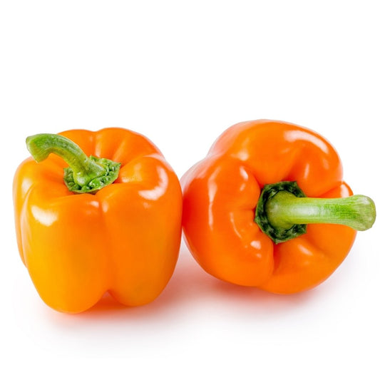 Capsicum Orange F1 Hybrid Seeds