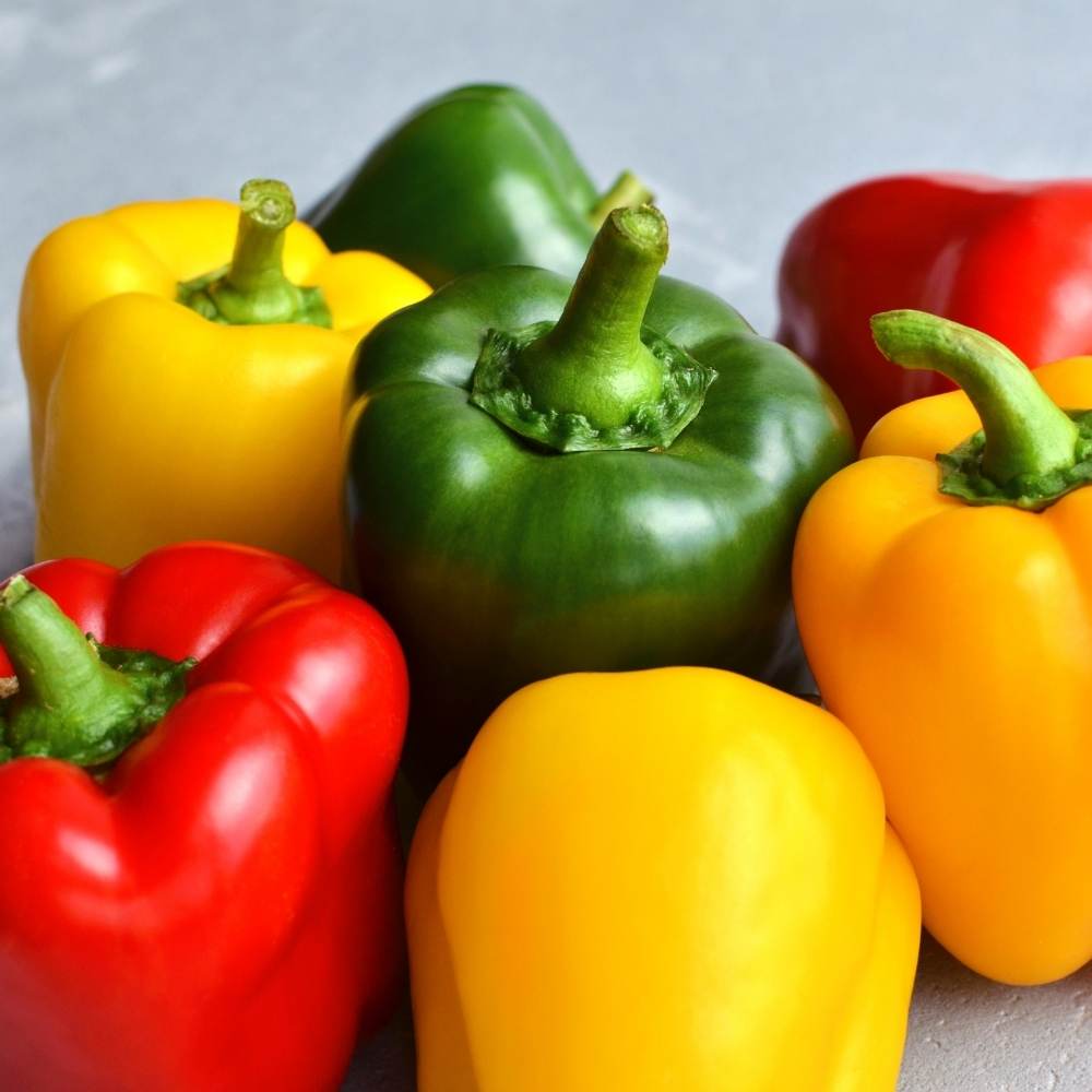 Capsicum-Bellpepper Mixed 6-Types Seeds