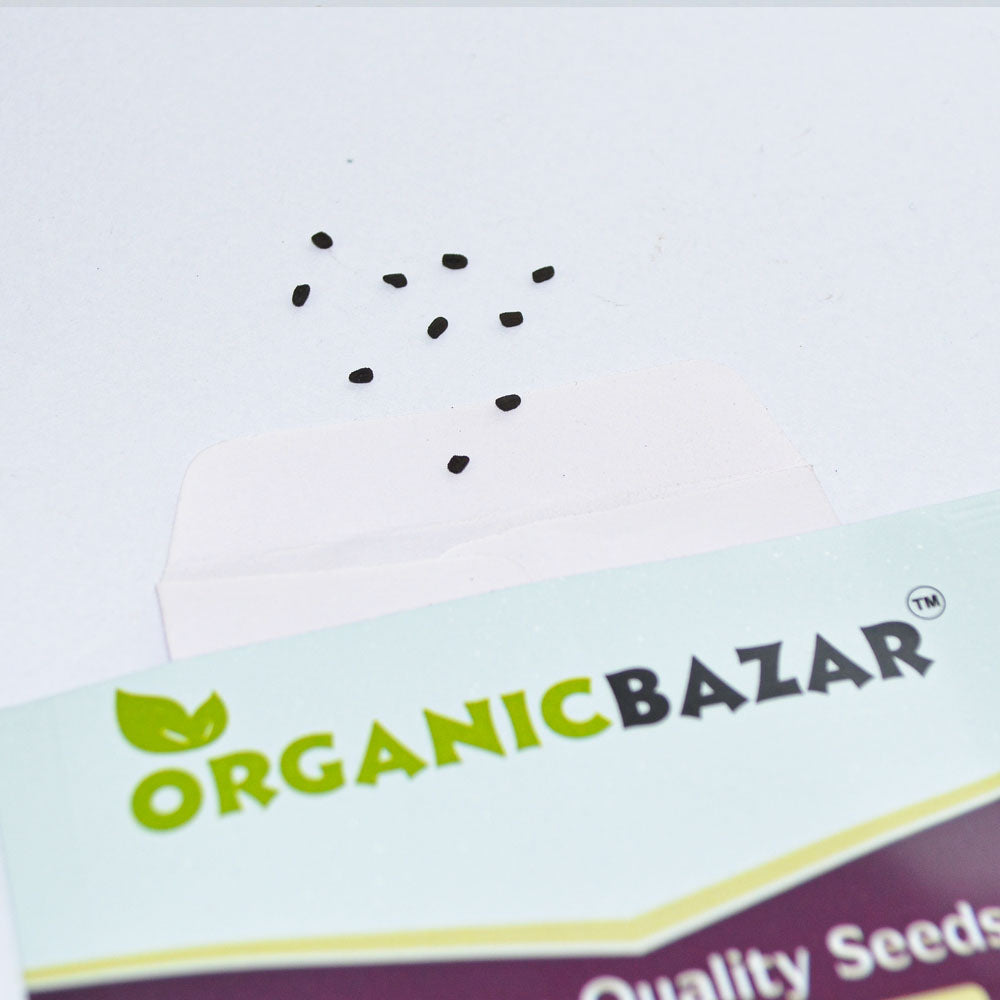 Vinca Cora Cascade Polka Dot Mix Seeds