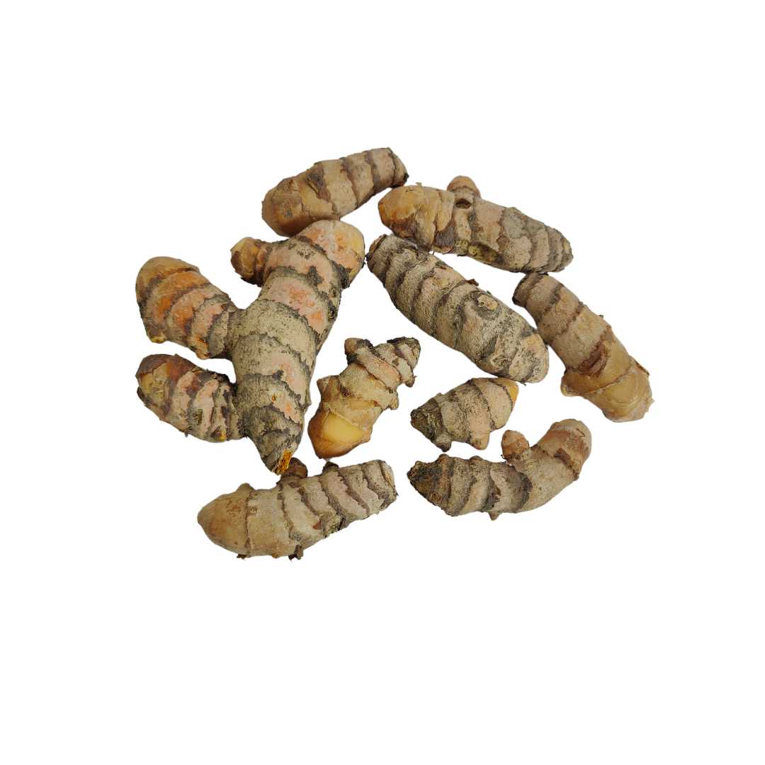 Yellow Turmeric Seeds (Haldi Roots) for Planting (400g)