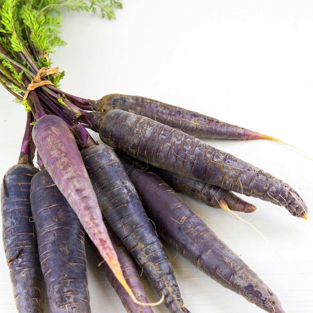 Carrot Black Wonder Seeds