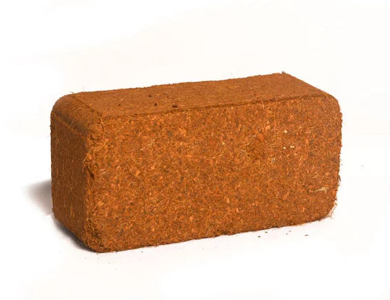 cocopeat brick 500 gram