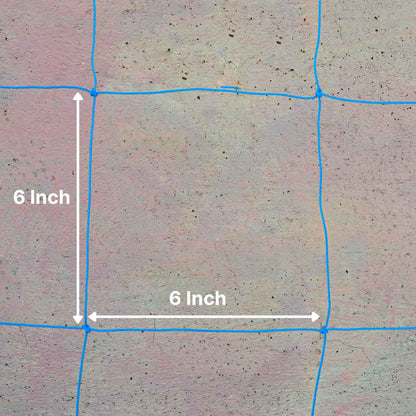 creeper net Square Size