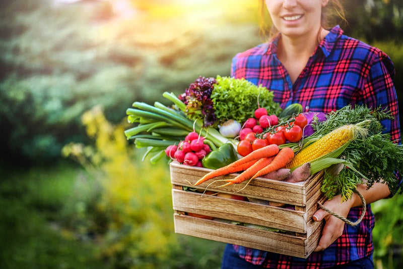 Farmer,Woman,Holding,Wooden,Box,Full,Of,Fresh,Raw,Vegetables.