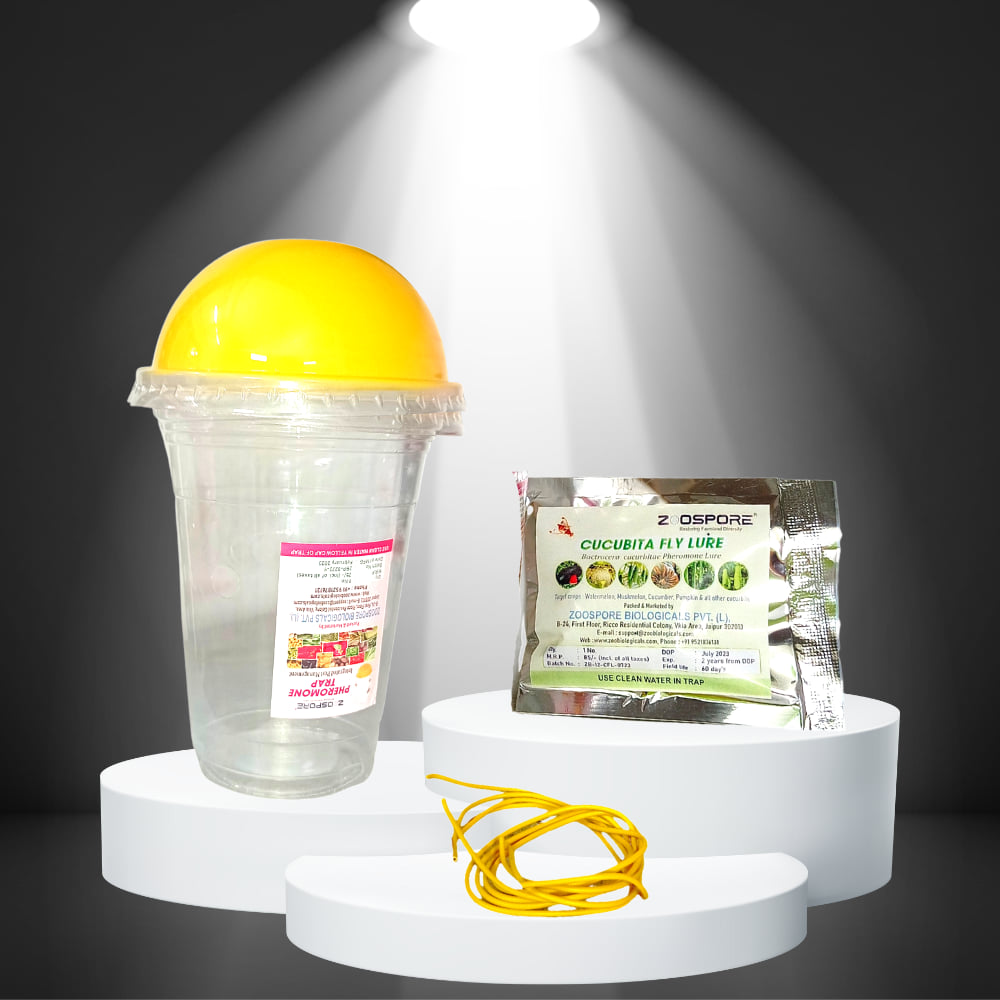 Melon fruit fly longlasting pheromone lure & fruit fly trap