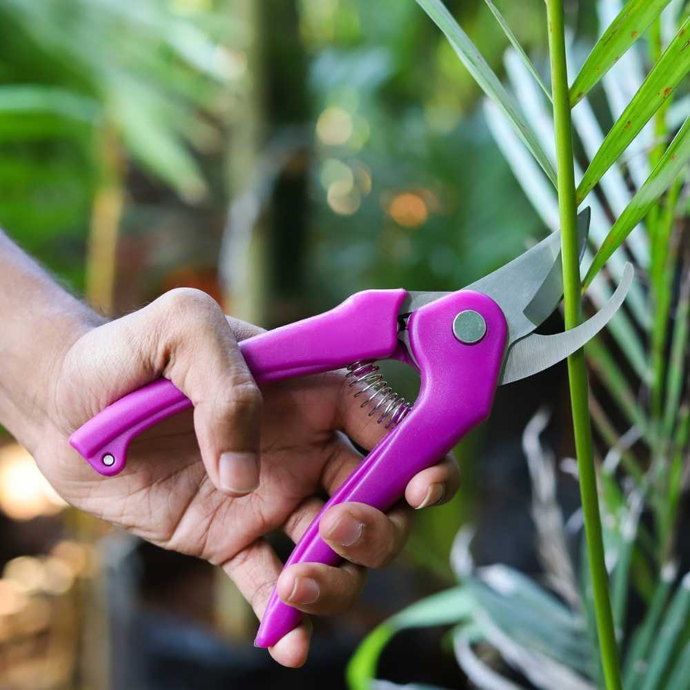 purple Multipurpose Gardening Cutter Scissor Hand Pruner (3)