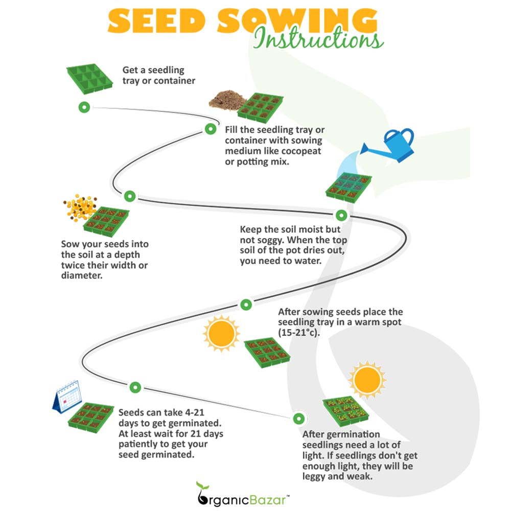 Seed sowing instructions in Hindi