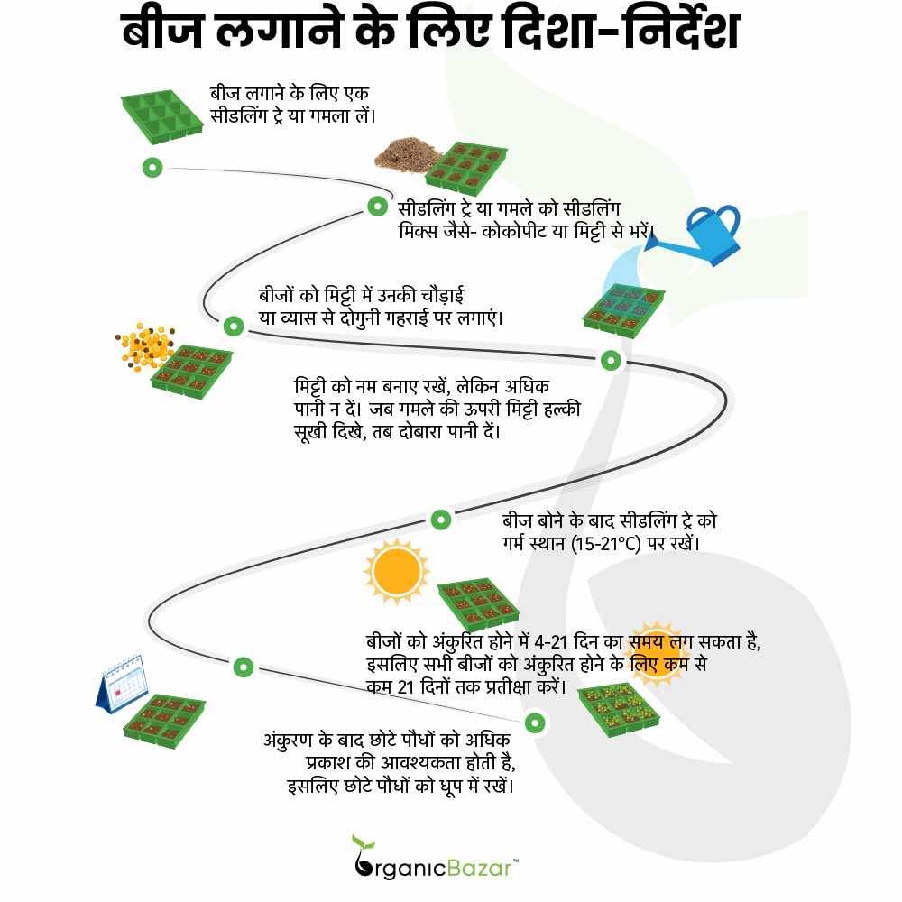 seed sowing instructions in hindi