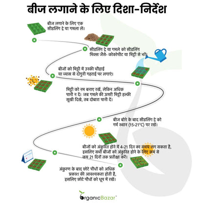 seed sowing instructions in hindi